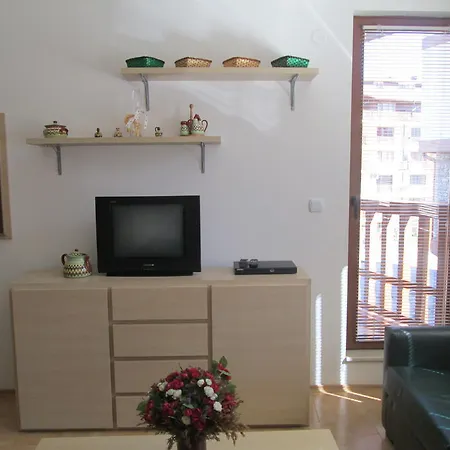 Bondis Alexander Services بانسكو