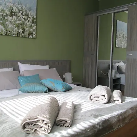 Bondis Alexander Services شقة بانسكو